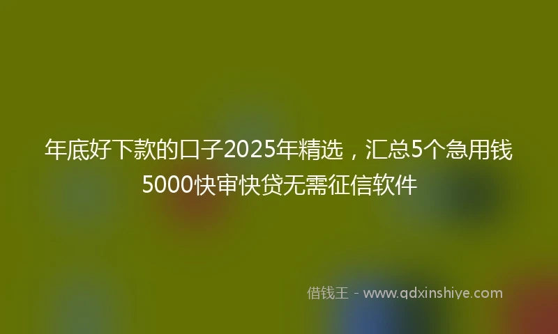 年底好下款的口子2025年精选，汇总5个急用钱5000快审快贷无需征信软件