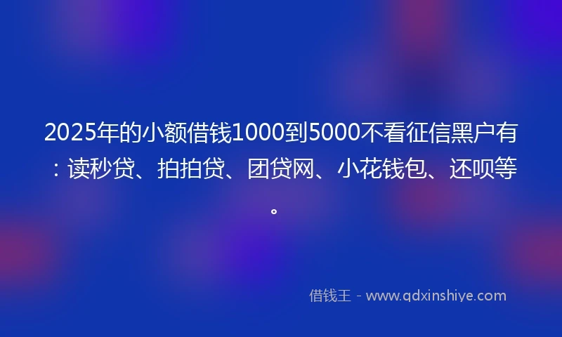 2025年的小额借钱1000到5000不看征信黑户有：读秒贷、拍拍贷、团贷网、小花钱包、还呗等。