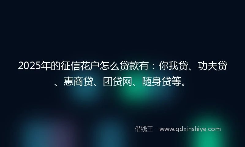 2025年的征信花户怎么贷款有：你我贷、功夫贷、惠商贷、团贷网、随身贷等。