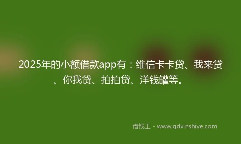 2025年的小额借款app有:维信卡卡贷、我来贷、你我贷、拍拍贷、洋钱罐等。