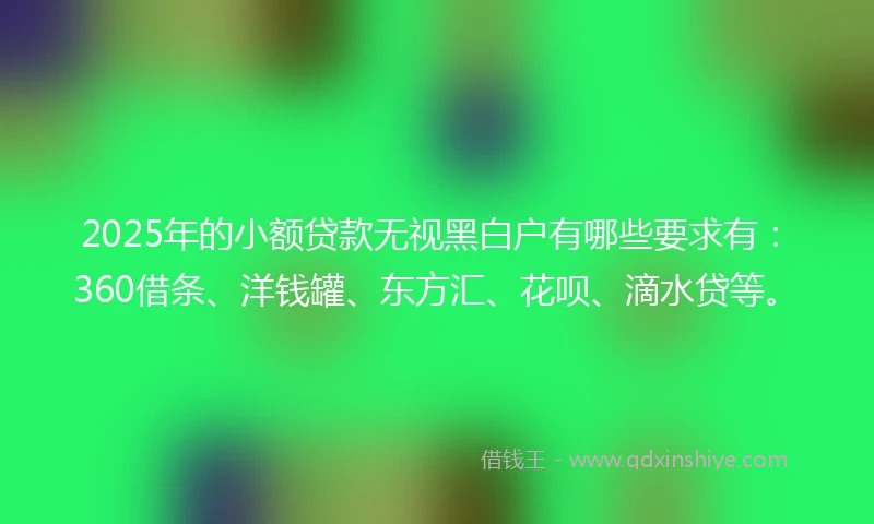 2025年的小额贷款无视黑白户有哪些要求有：360借条、洋钱罐、东方汇、花呗、滴水贷等。