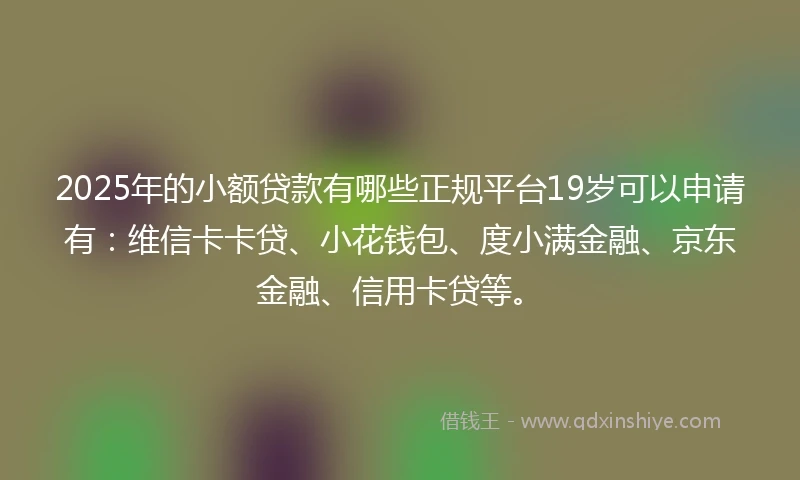 2025年的小额贷款有哪些正规平台19岁可以申请有：维信卡卡贷、小花钱包、度小满金融、京东金融、信用卡贷等。