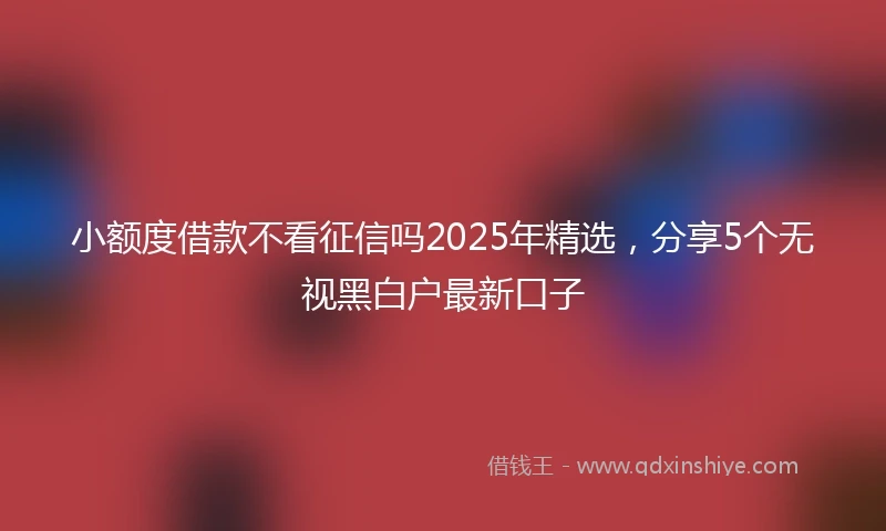 小额度借款不看征信吗2025年精选，分享5个无视黑白户最新口子