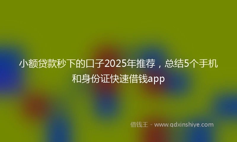小额贷款秒下的口子2025年推荐，总结5个手机和身份证快速借钱app