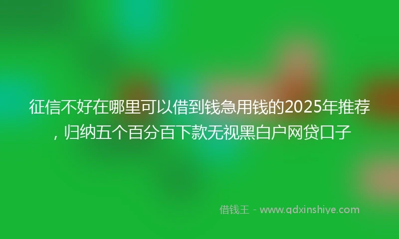 征信不好在哪里可以借到钱急用钱的2025年推荐，归纳五个百分百下款无视黑白户网贷口子