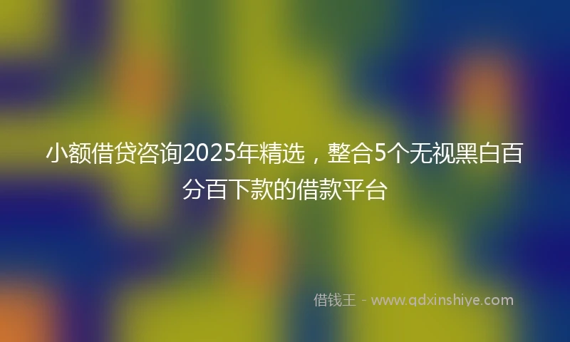 小额借贷咨询2025年精选，整合5个无视黑白百分百下款的借款平台