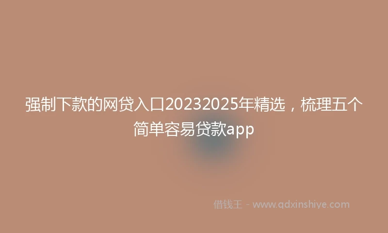 强制下款的网贷入口20232025年精选，梳理五个简单容易贷款app