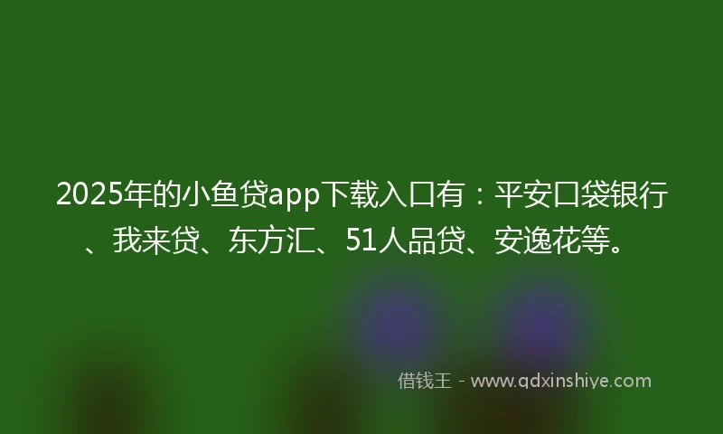 2025年的小鱼贷app下载入口有：平安口袋银行、我来贷、东方汇、51人品贷、安逸花等。