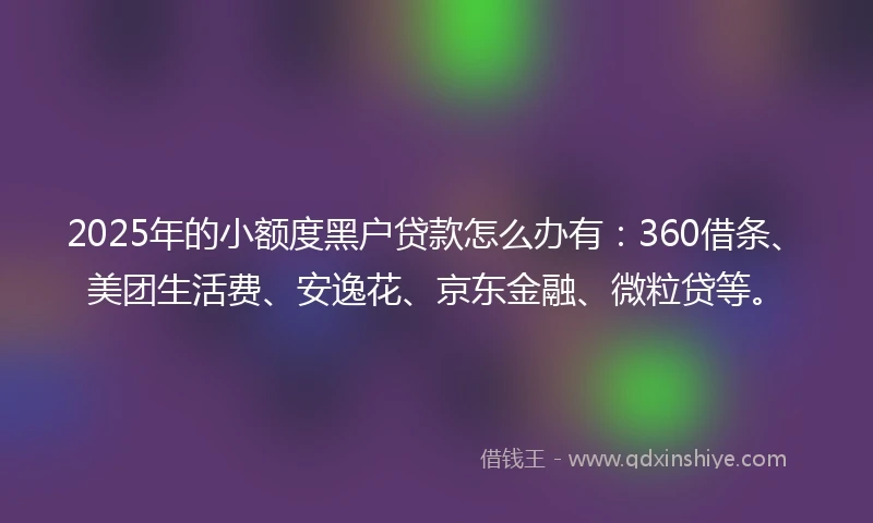 2025年的小额度黑户贷款怎么办有：360借条、美团生活费、安逸花、京东金融、微粒贷等。