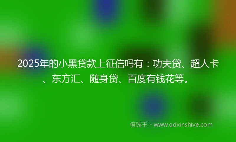2025年的小黑贷款上征信吗有：功夫贷、超人卡、东方汇、随身贷、百度有钱花等。