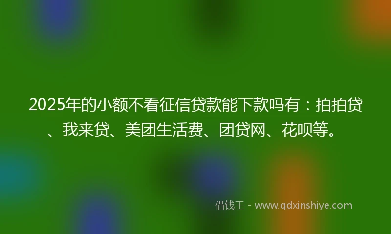 2025年的小额不看征信贷款能下款吗有：拍拍贷、我来贷、美团生活费、团贷网、花呗等。