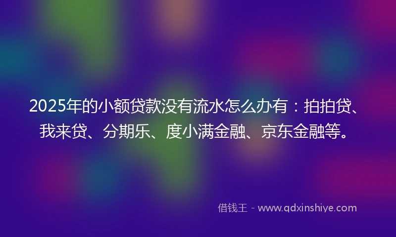 2025年的小额贷款没有流水怎么办有：拍拍贷、我来贷、分期乐、度小满金融、京东金融等。