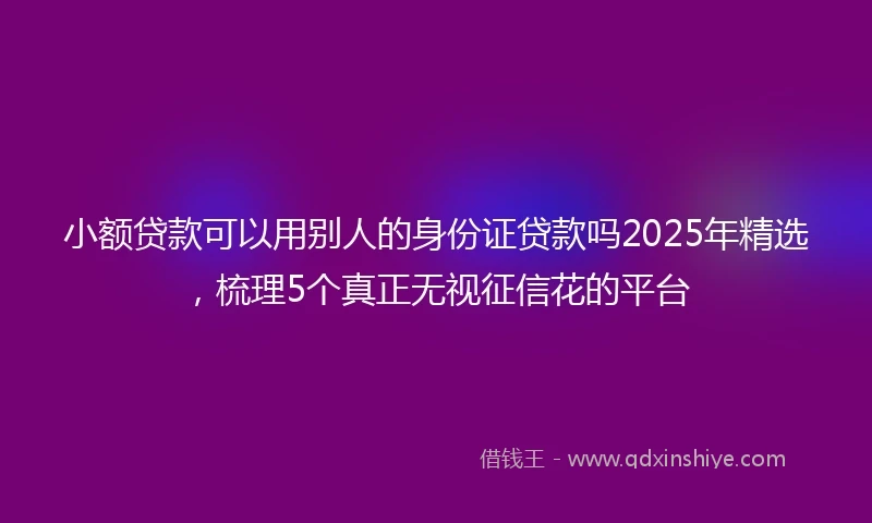 小额贷款可以用别人的身份证贷款吗2025年精选，梳理5个真正无视征信花的平台