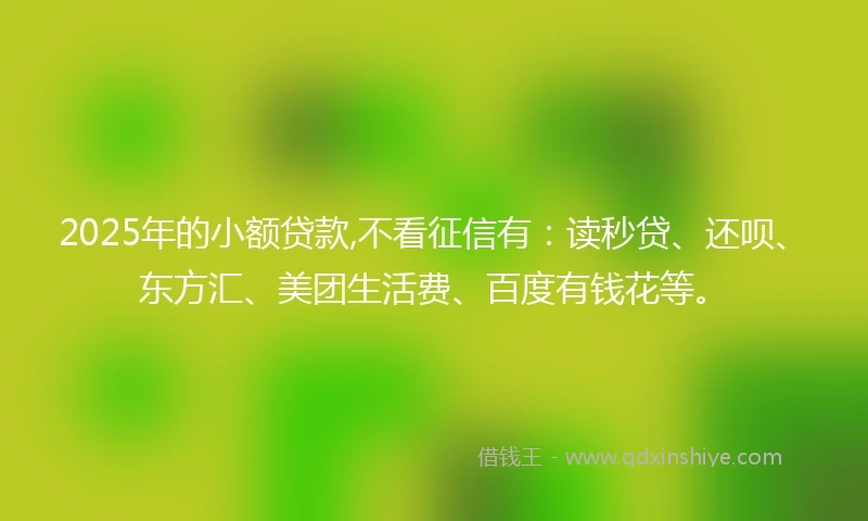 2025年的小额贷款,不看征信有：读秒贷、还呗、东方汇、美团生活费、百度有钱花等。
