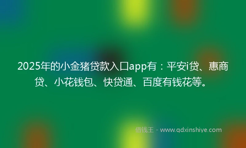 2025年的小金猪贷款入口app有：平安i贷、惠商贷、小花钱包、快贷通、百度有钱花等。