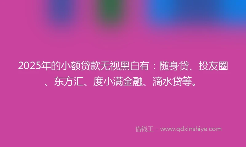 2025年的小额贷款无视黑白有：随身贷、投友圈、东方汇、度小满金融、滴水贷等。