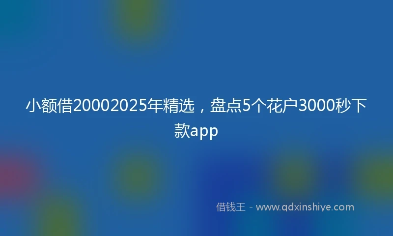 小额借20002025年精选，盘点5个花户3000秒下款app