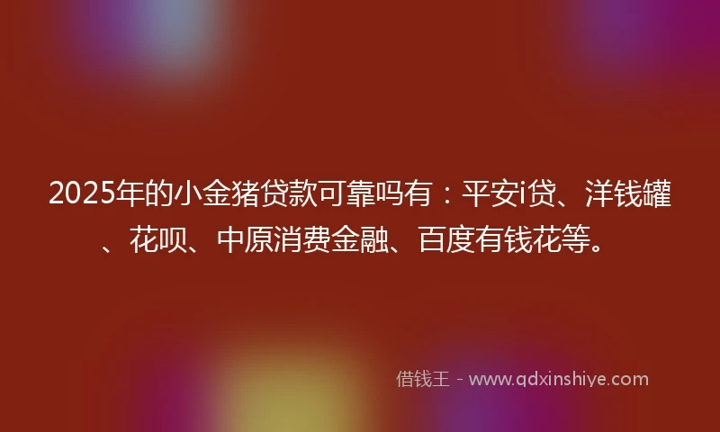 2025年的小金猪贷款可靠吗有：平安i贷、洋钱罐、花呗、中原消费金融、百度有钱花等。