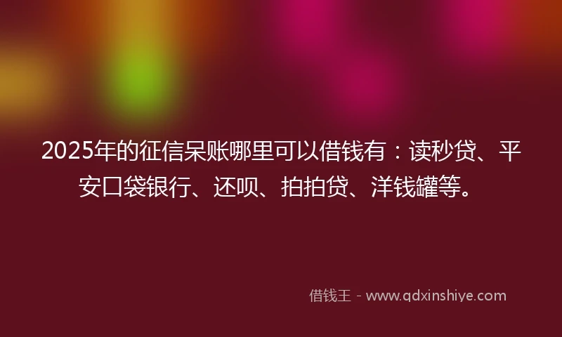 2025年的征信呆账哪里可以借钱有：读秒贷、平安口袋银行、还呗、拍拍贷、洋钱罐等。