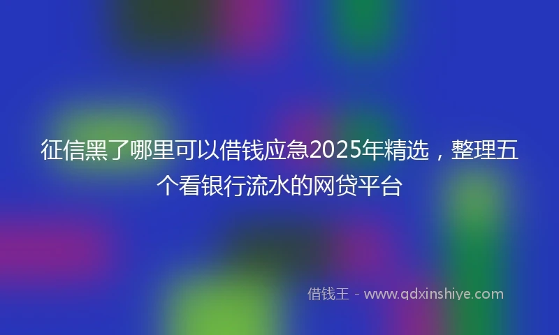征信黑了哪里可以借钱应急2025年精选，整理五个看银行流水的网贷平台