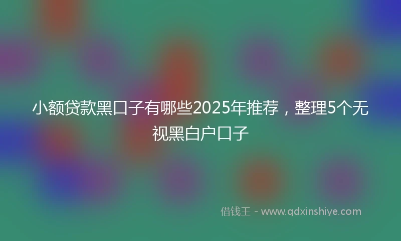 小额贷款黑口子有哪些2025年推荐，整理5个无视黑白户口子