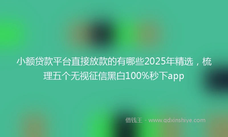 小额贷款平台直接放款的有哪些2025年精选，梳理五个无视征信黑白100%秒下app