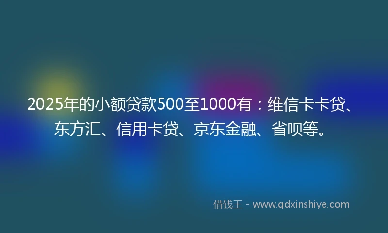 2025年的小额贷款500至1000有：维信卡卡贷、东方汇、信用卡贷、京东金融、省呗等。