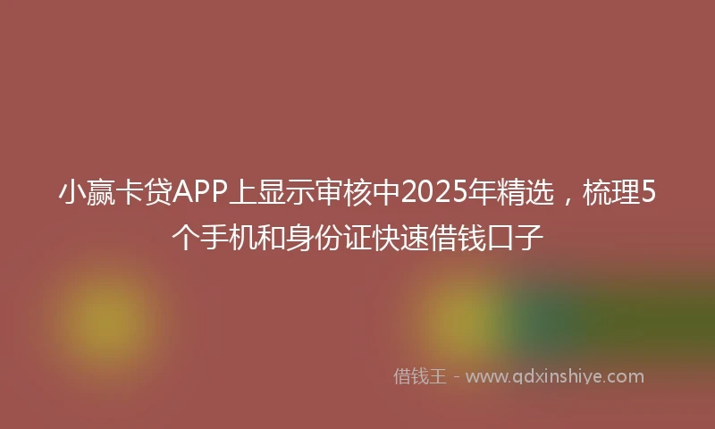 小赢卡贷APP上显示审核中2025年精选，梳理5个手机和身份证快速借钱口子