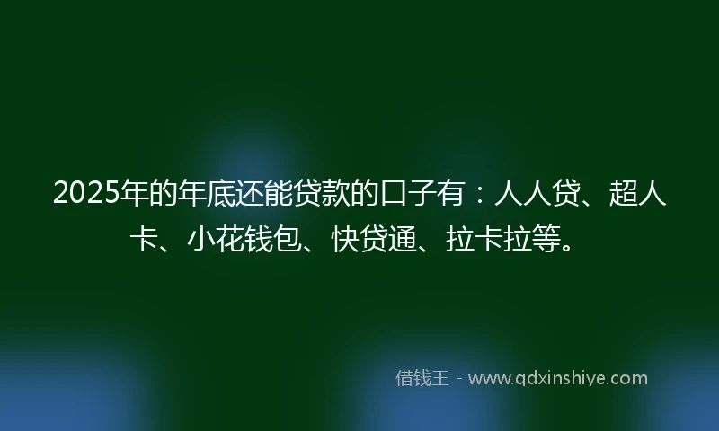 2025年的年底还能贷款的口子有：人人贷、超人卡、小花钱包、快贷通、拉卡拉等。