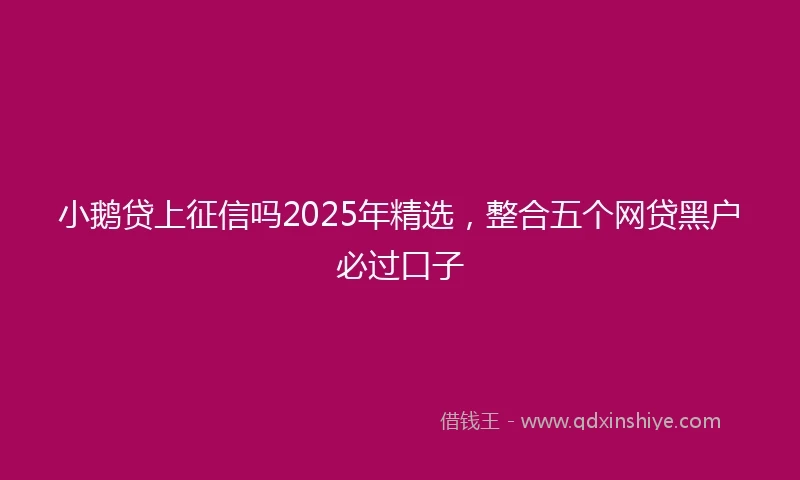 小鹅贷上征信吗2025年精选，整合五个网贷黑户必过口子