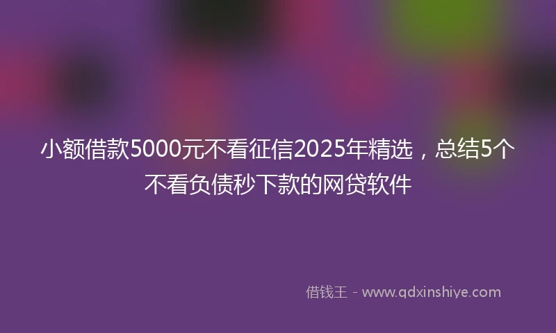 小额借款5000元不看征信2025年精选，总结5个不看负债秒下款的网贷软件