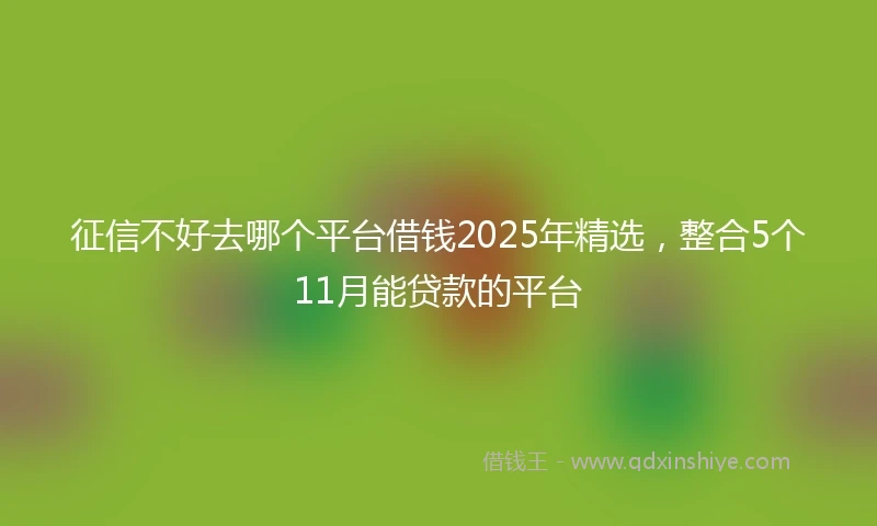 征信不好去哪个平台借钱2025年精选，整合5个11月能贷款的平台