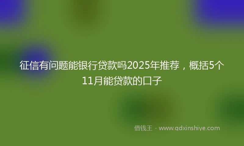 征信有问题能银行贷款吗2025年推荐，概括5个11月能贷款的口子