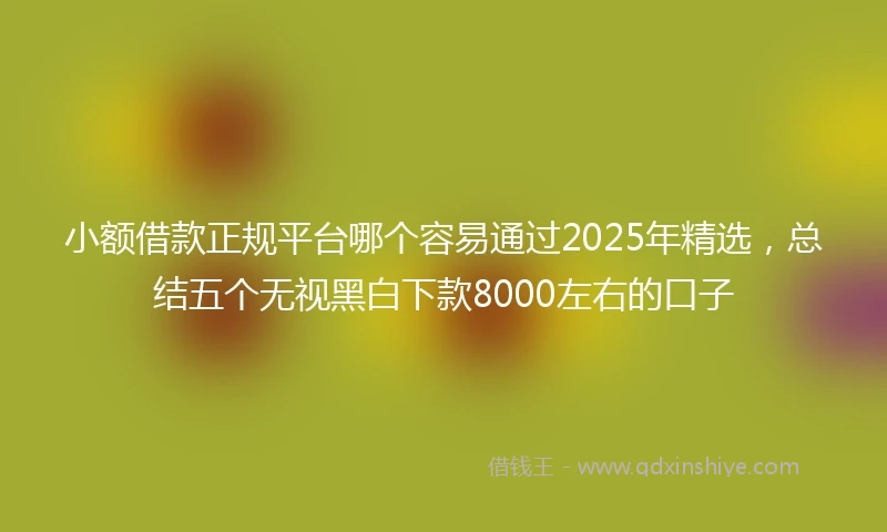 小额借款正规平台哪个容易通过2025年精选，总结五个无视黑白下款8000左右的口子