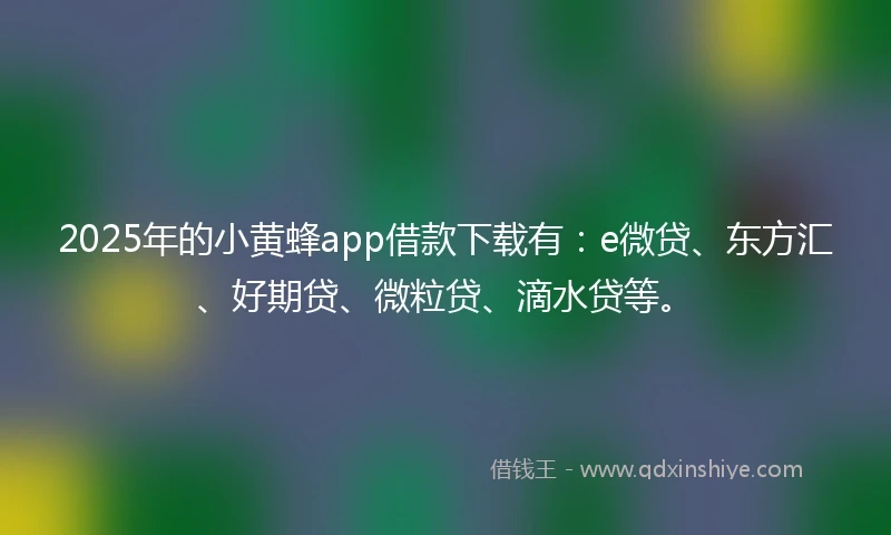 2025年的小黄蜂app借款下载有：e微贷、东方汇、好期贷、微粒贷、滴水贷等。