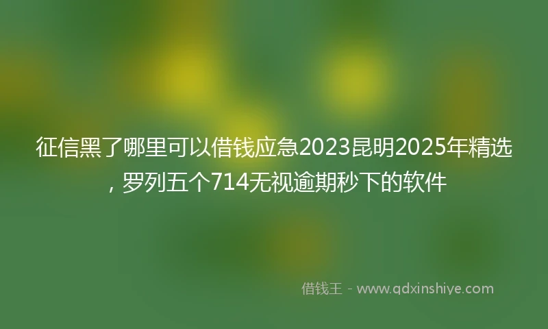 征信黑了哪里可以借钱应急2023昆明2025年精选，罗列五个714无视逾期秒下的软件