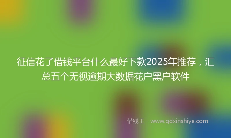 征信花了借钱平台什么最好下款2025年推荐，汇总五个无视逾期大数据花户黑户软件