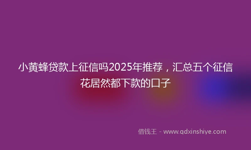 小黄蜂贷款上征信吗2025年推荐，汇总五个征信花居然都下款的口子