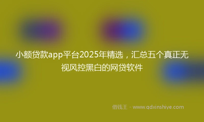 小额贷款app平台2025年精选，汇总五个真正无视风控黑白的网贷软件