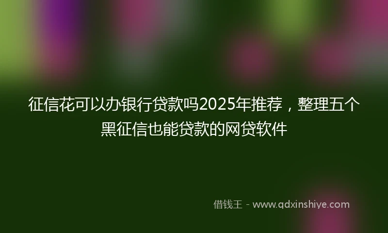 征信花可以办银行贷款吗2025年推荐，整理五个黑征信也能贷款的网贷软件