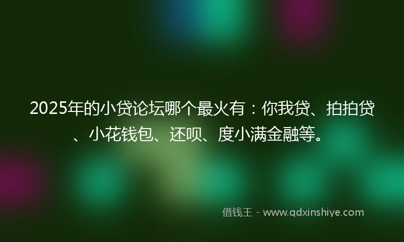 2025年的小贷论坛哪个最火有：你我贷、拍拍贷、小花钱包、还呗、度小满金融等。