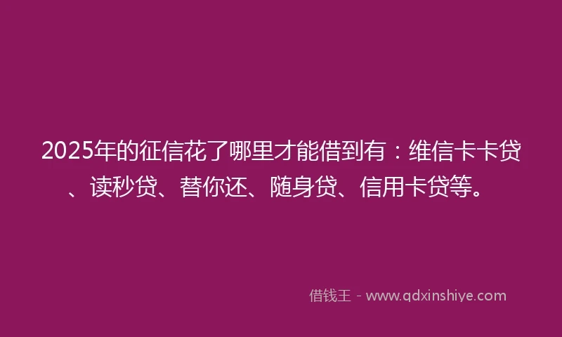 2025年的征信花了哪里才能借到有：维信卡卡贷、读秒贷、替你还、随身贷、信用卡贷等。