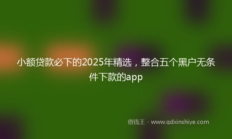 小额贷款必下的2025年精选，整合五个黑户无条件下款的app