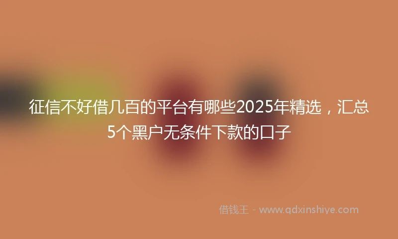 征信不好借几百的平台有哪些2025年精选,汇总5个黑户无条件下款的口子