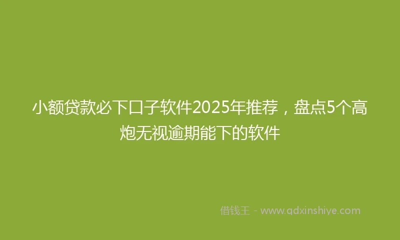 小额贷款必下口子软件2025年推荐，盘点5个高炮无视逾期能下的软件