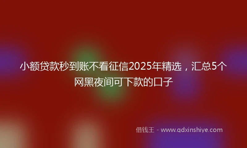 小额贷款秒到账不看征信2025年精选，汇总5个网黑夜间可下款的口子