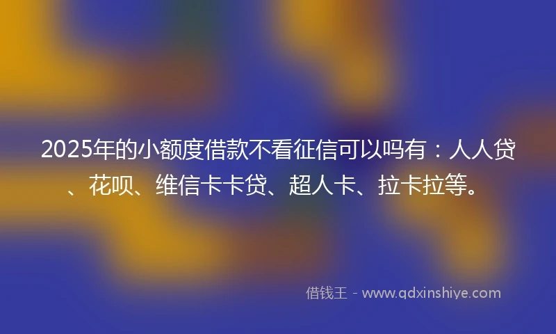 2025年的小额度借款不看征信可以吗有：人人贷、花呗、维信卡卡贷、超人卡、拉卡拉等。