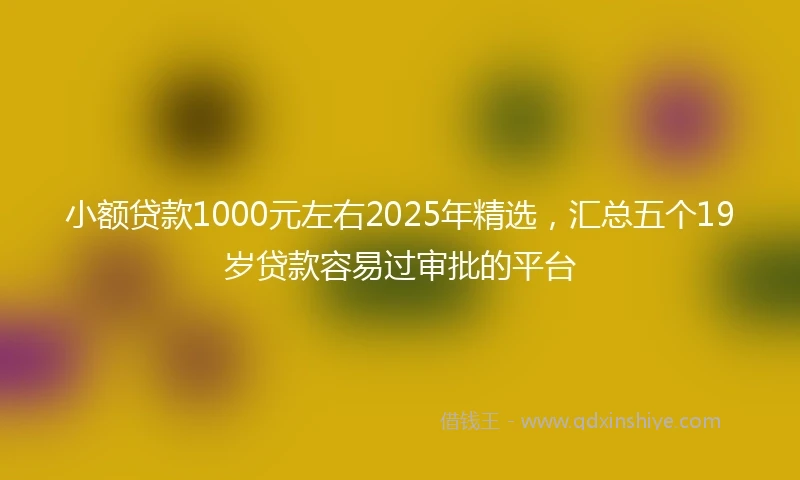 小额贷款1000元左右2025年精选，汇总五个19岁贷款容易过审批的平台