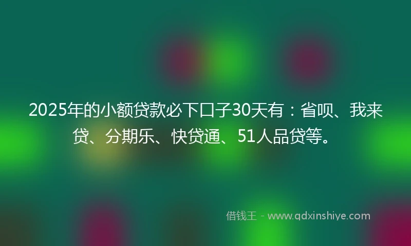 2025年的小额贷款必下口子30天有：省呗、我来贷、分期乐、快贷通、51人品贷等。
