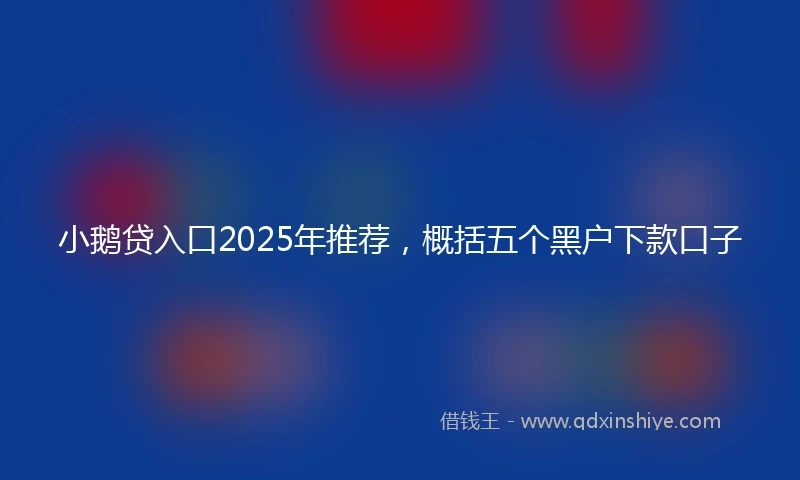 小鹅贷入口2025年推荐，概括五个黑户下款口子